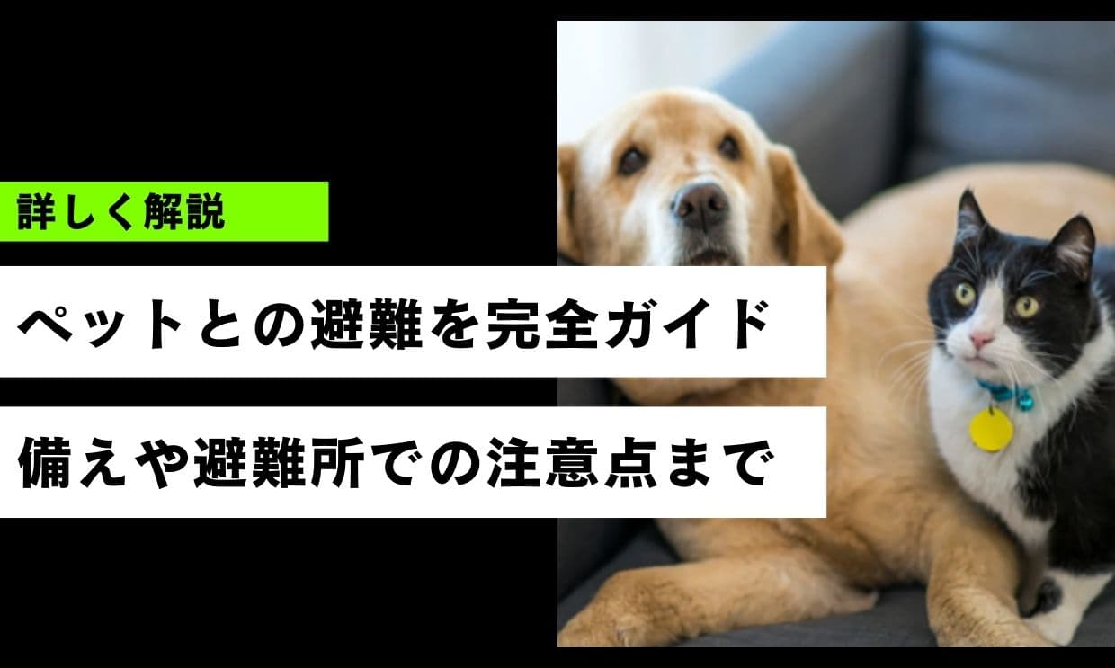 ペットとの避難を完全ガイド